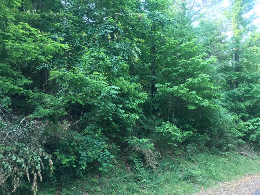 Photo #11: Lot 39 Five Oaks Circle