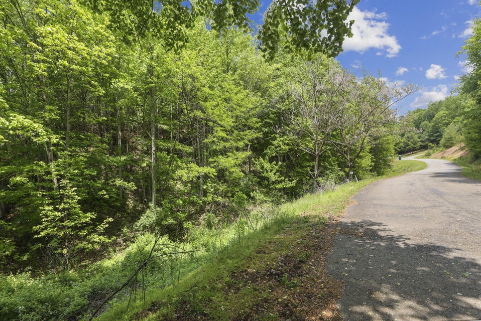 Photo #2: Tr 25 Wild Turkey Lane