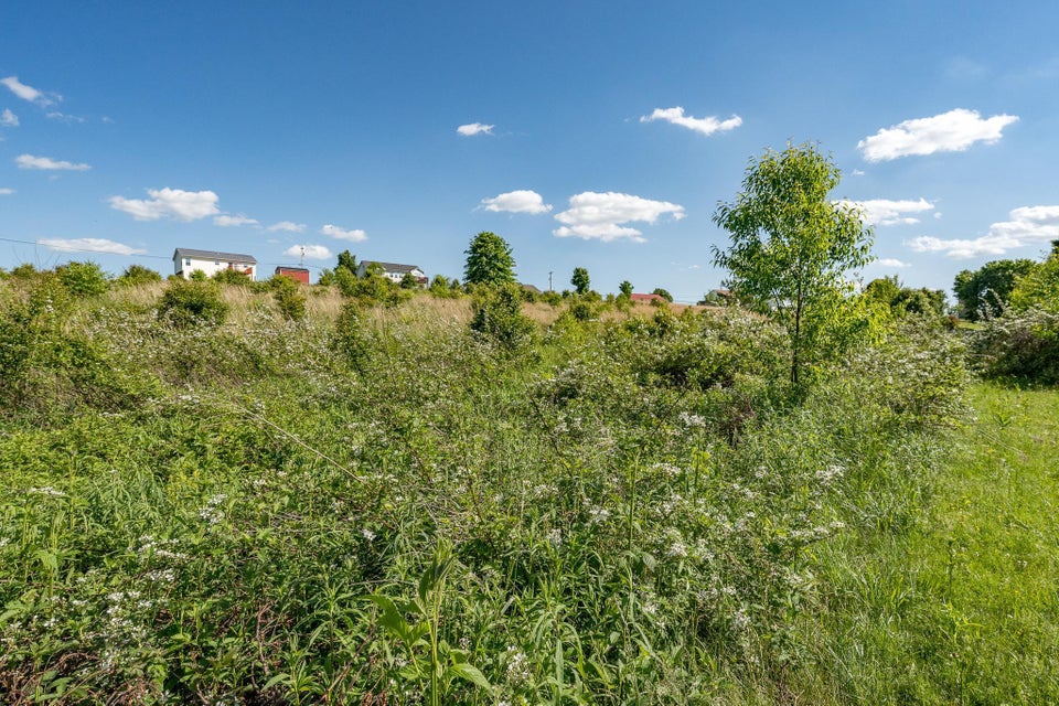 Photo #23: 1216 Bowmantown Road