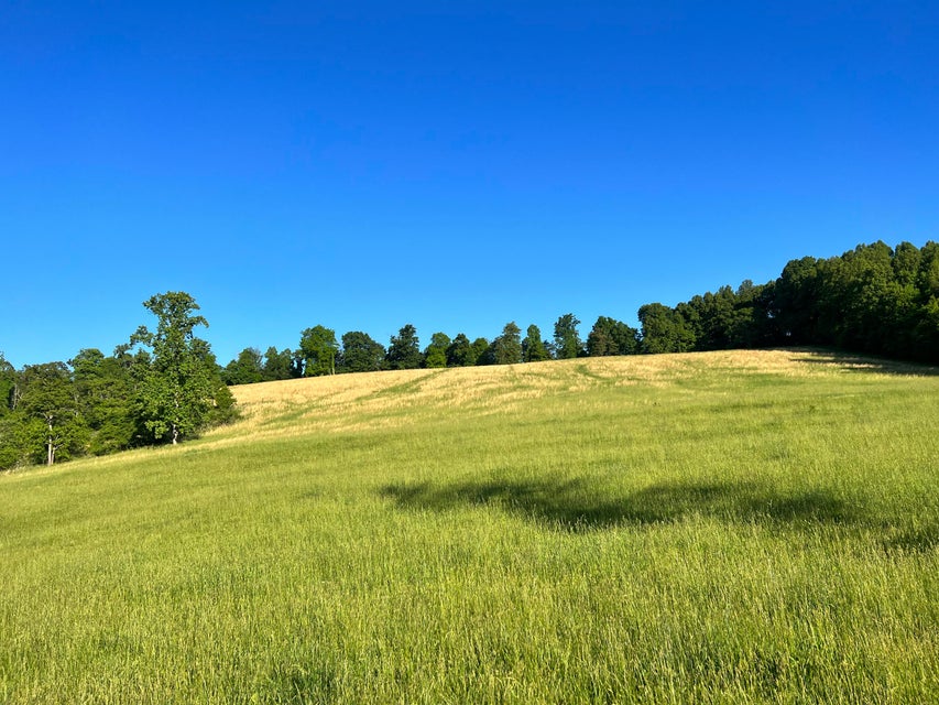 Photo #3: 000 Hartmantown Road