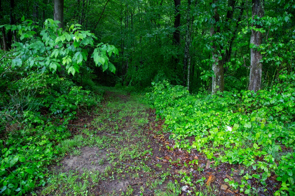 Photo #16: Lot 22/23 Persimmon Drive