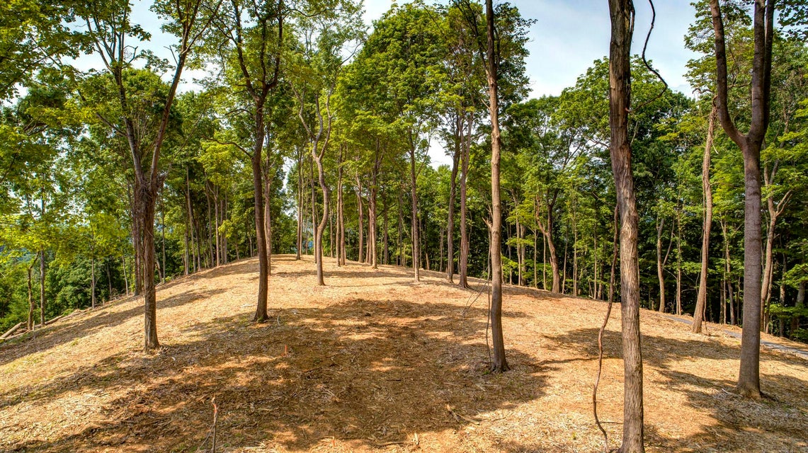 Photo #5: Lot 4 Cooks Landing Road