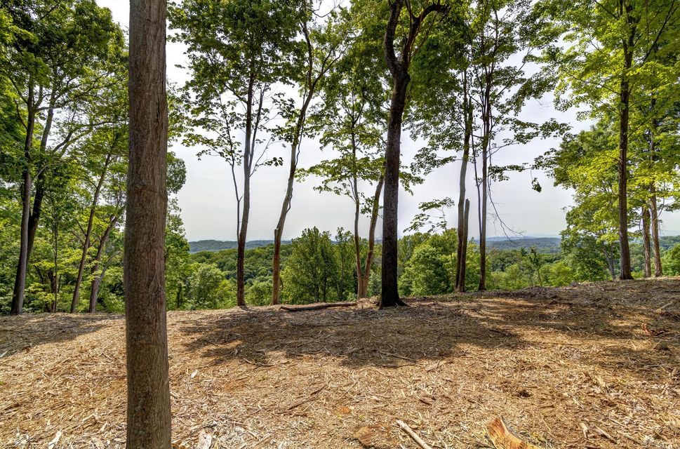 Photo #15: Lot 4 Cooks Landing Road