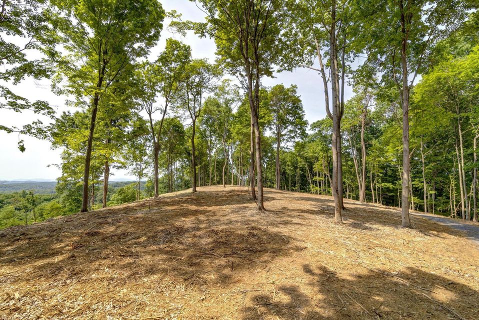Photo #16: Lot 4 Cooks Landing Road