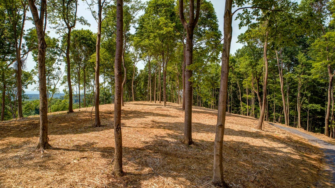 Photo #10: Lot 2 Cooks Landing Road