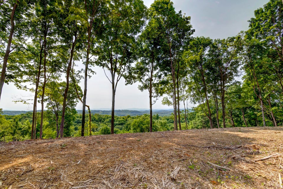 Photo #17: Lot 2 Cooks Landing Road