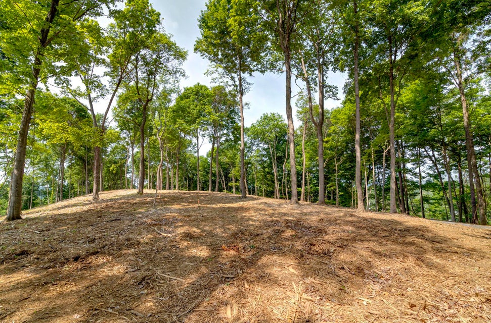 Photo #18: Lot 2 Cooks Landing Road