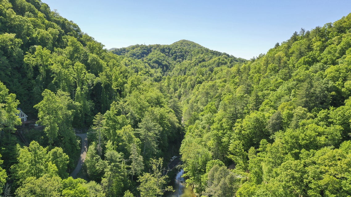 Photo #3: 00 Highway 321 Road