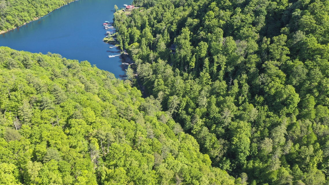 Photo #6: 00 Highway 321 Road