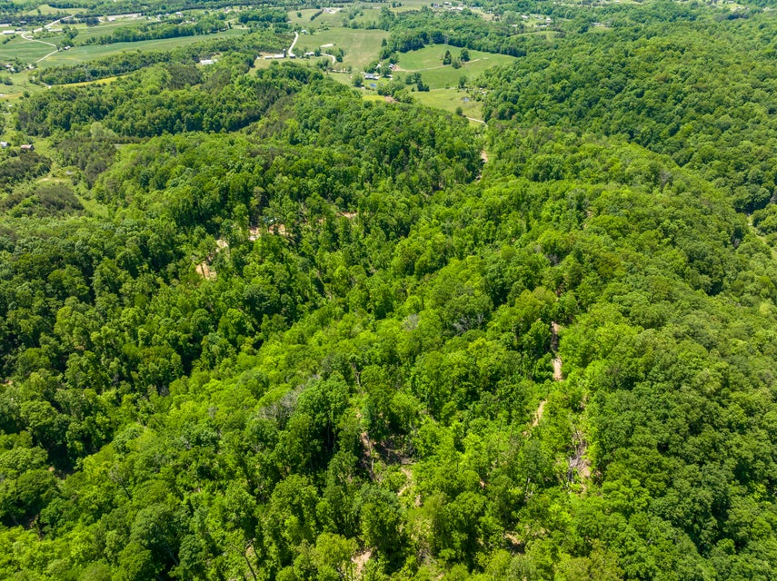Photo #24: 950 Caney Creek Lane
