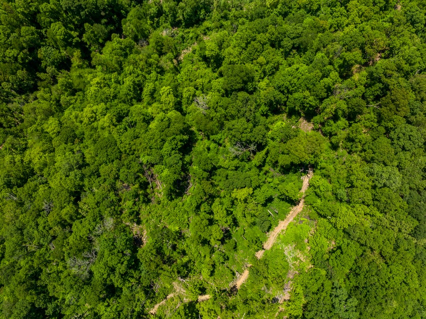 Photo #25: 950 Caney Creek Lane