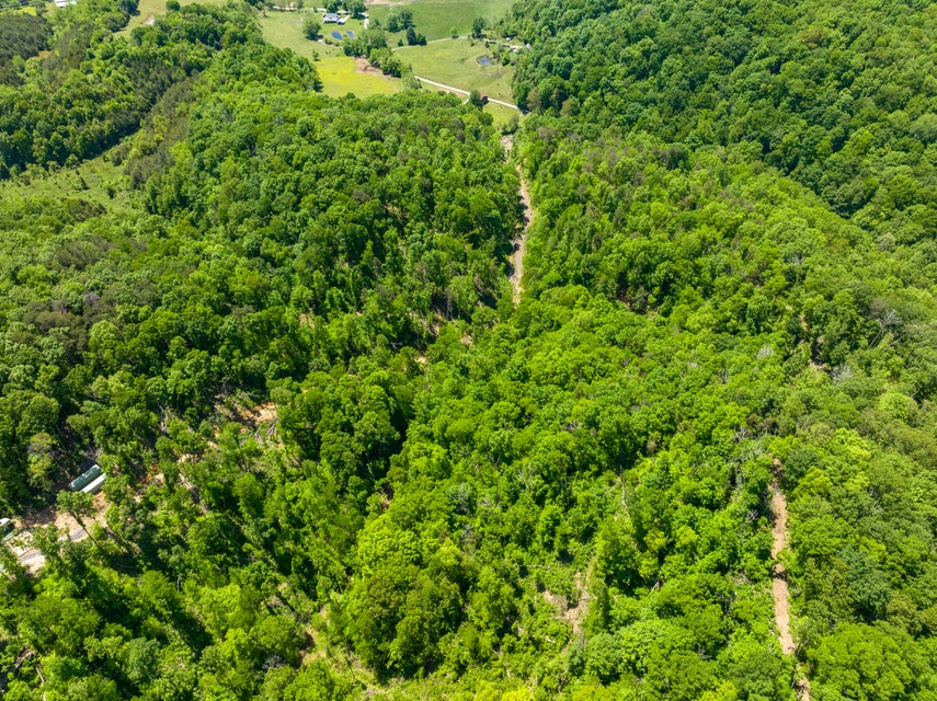 Photo #26: 950 Caney Creek Lane