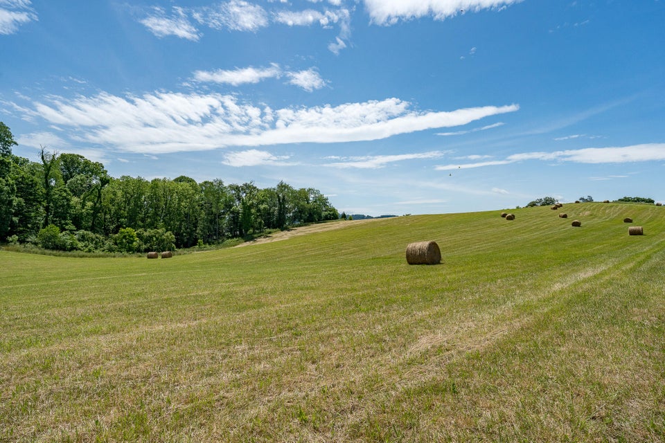Photo #29: Tbd Douglas Shed Road