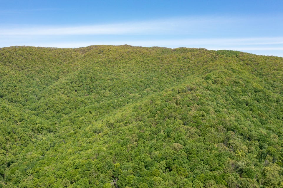 Photo #11: T.B.D. E Of Mountain Road