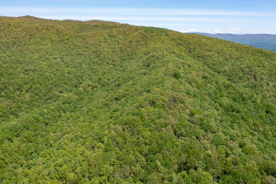 Photo #19: T.B.D. E Of Mountain Road