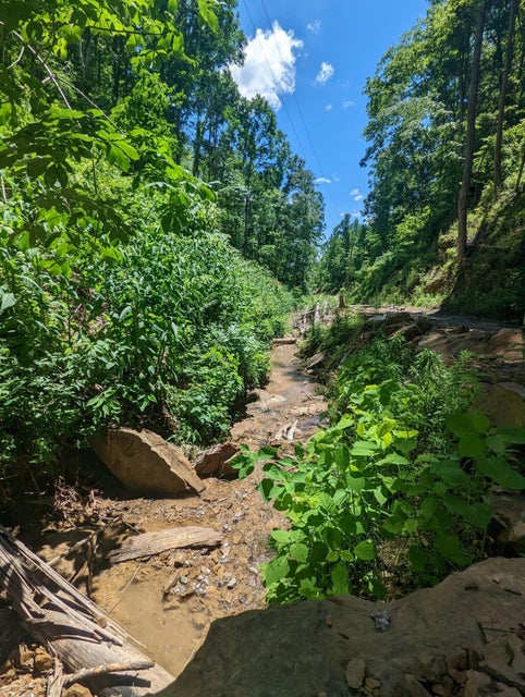 Photo #22: 950 Caney Creek Lane