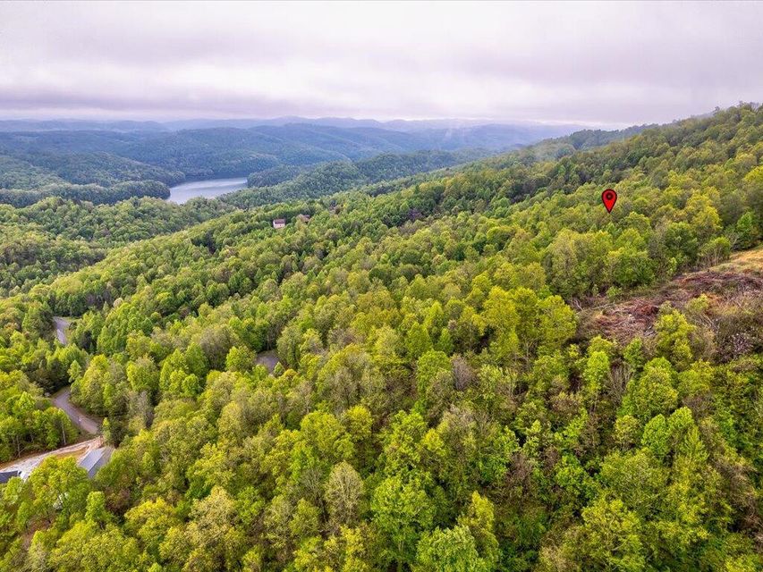 Photo #3: Lot 196 Clinch View Road