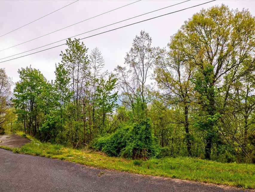 Photo #5: Lot 196 Clinch View Road