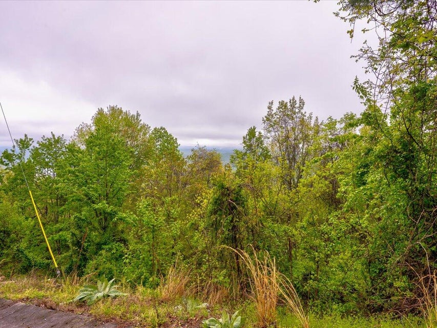 Photo #6: Lot 196 Clinch View Road