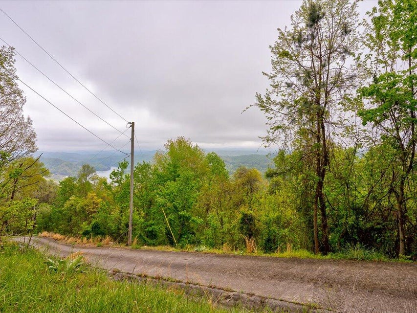 Photo #7: Lot 196 Clinch View Road