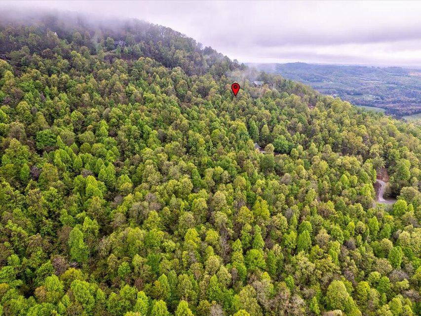Photo #9: Lot 196 Clinch View Road