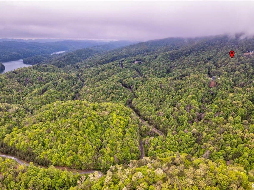 Photo #12: Lot 196 Clinch View Road