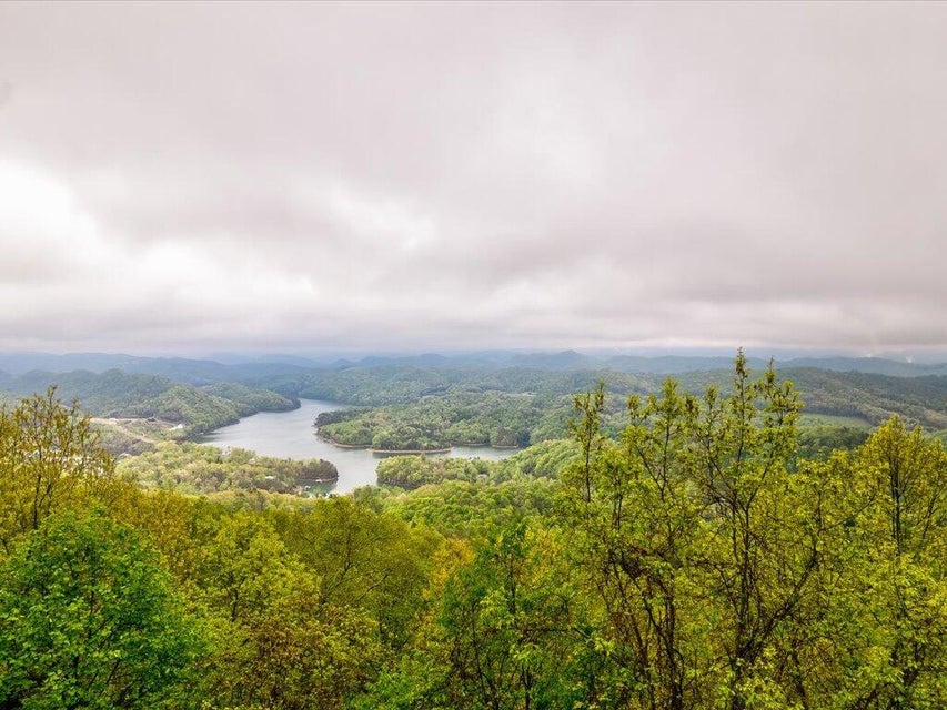 Photo #23: Lot 196 Clinch View Road
