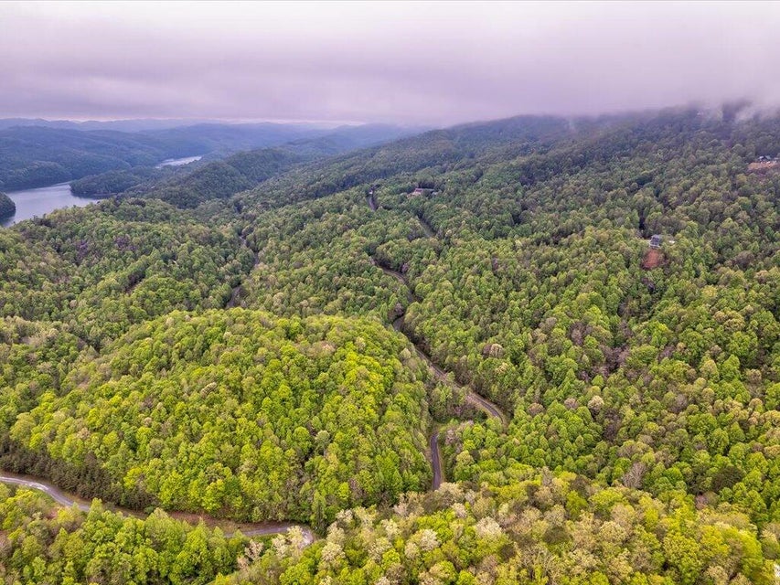 Photo #27: Lot 196 Clinch View Road