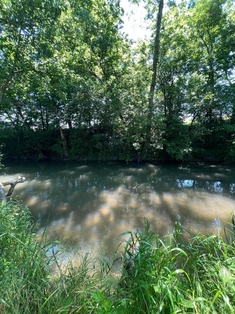 Photo #56: 421 Beaver Brook Road