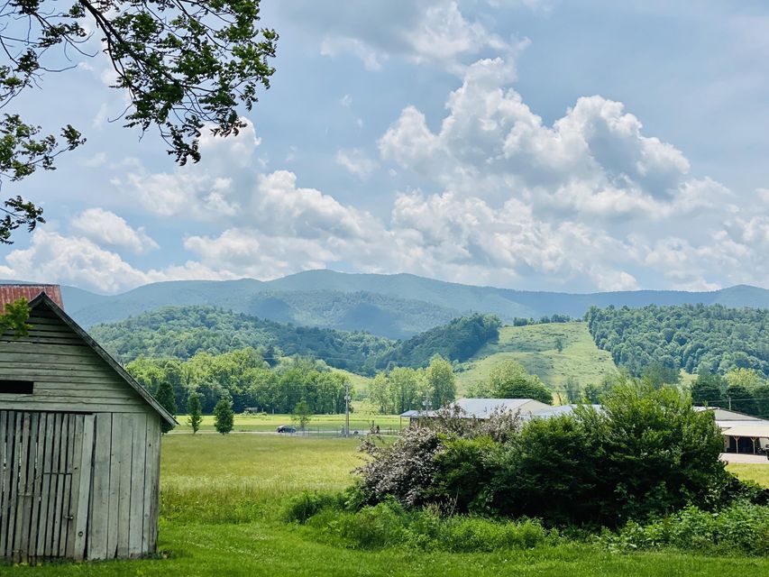Photo #6: 4246 Roan Creek Rd Road