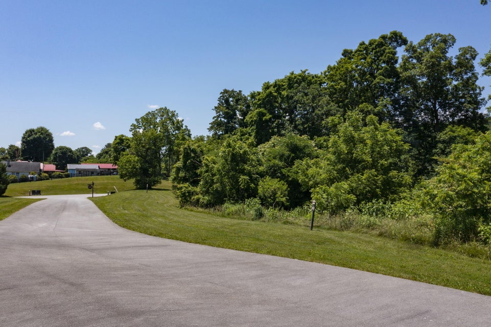 Photo #16: Lot 66 Bayside Boulevard