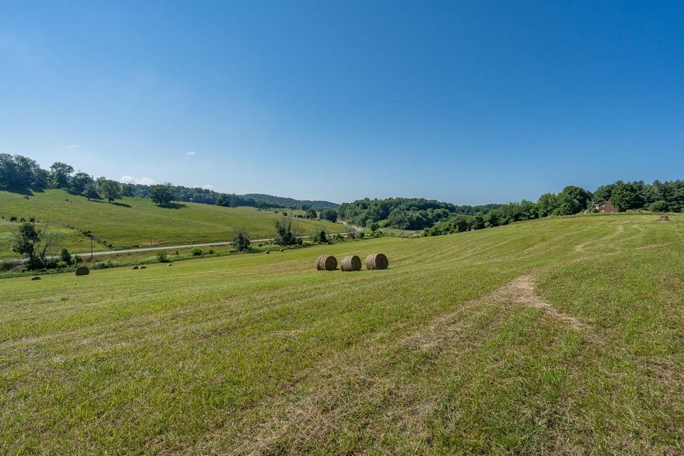 Photo #4: Tract 3 Boones Creek