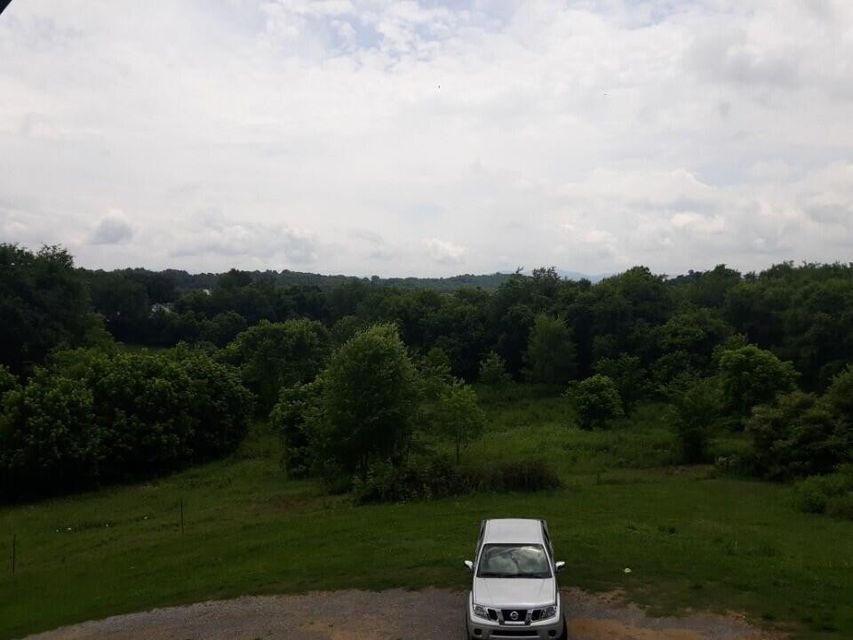 Photo #12: 2100 Jones Bridge Road