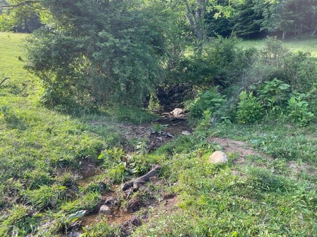 Photo #8: Tbd Edwards Branch Road