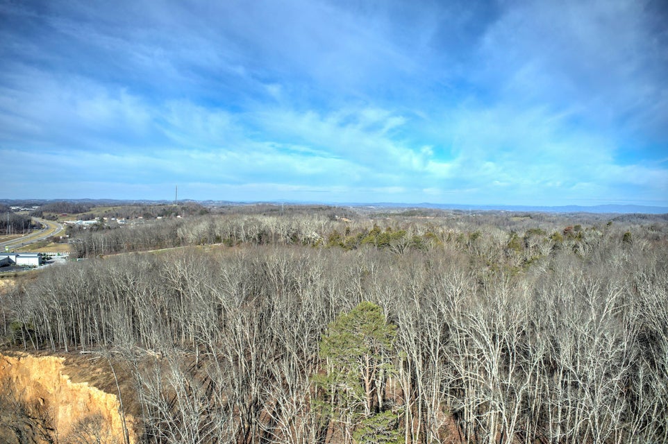 Photo #5: Lt 20 Andrew Johnson Highway