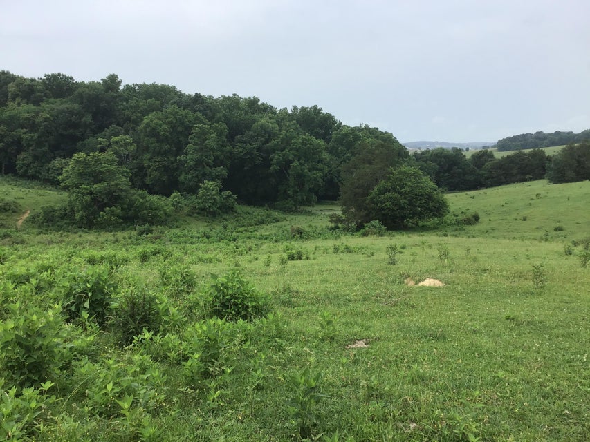 Photo #3: Lot 20 Gregg Mill Road