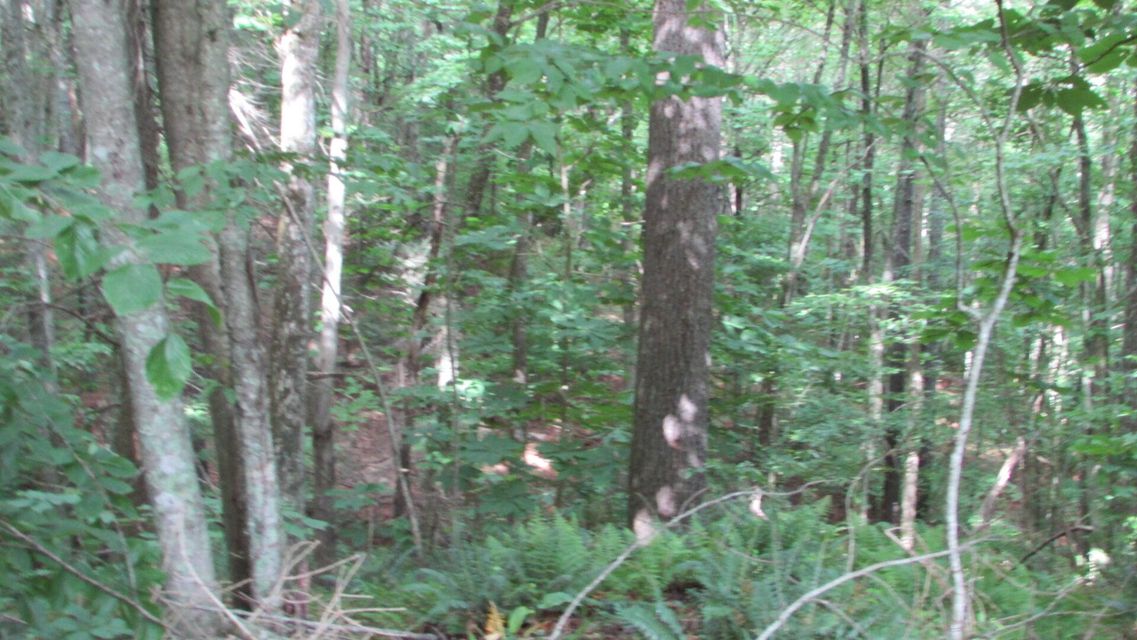 Photo #12: Lot # 5 Hemlock Drive