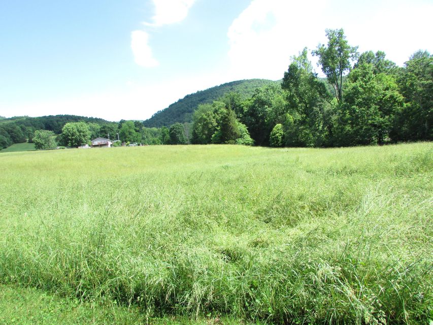 Photo #51: 191 Little Stoney Creek Road