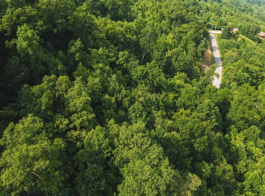 Photo #10: Lot 655 Chimney Rock Road