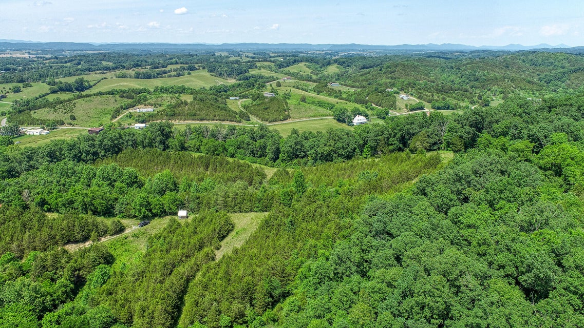 Photo #30: 2120 Oakwood Road