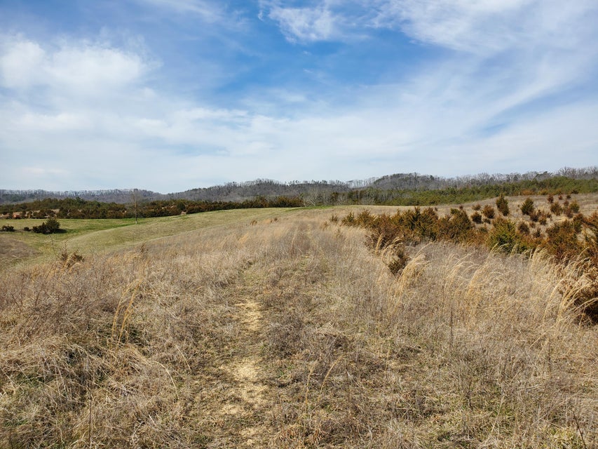 Photo #2: 2300 Mountain Valley Road