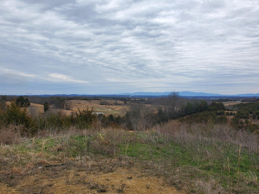 Photo #10: 2300 Mountain Valley Road
