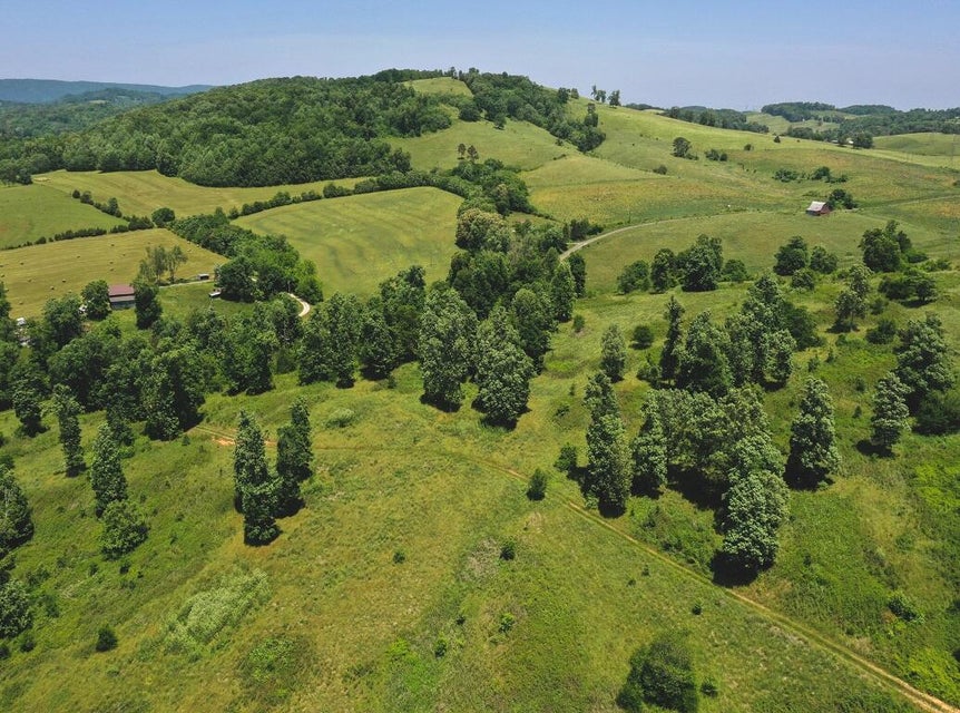 Photo #10: 530 Acres Buffalo Springs Road