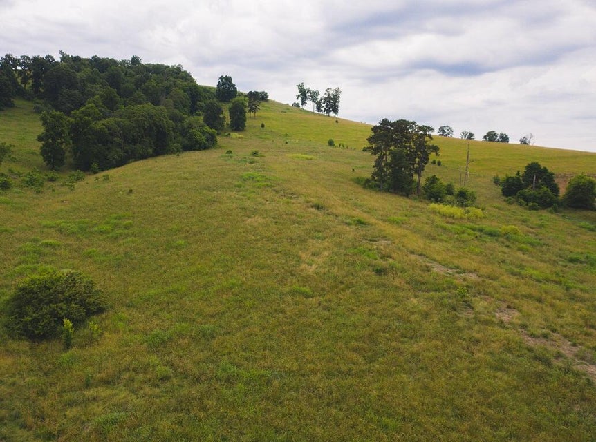 Photo #59: 530 Acres Buffalo Springs Road