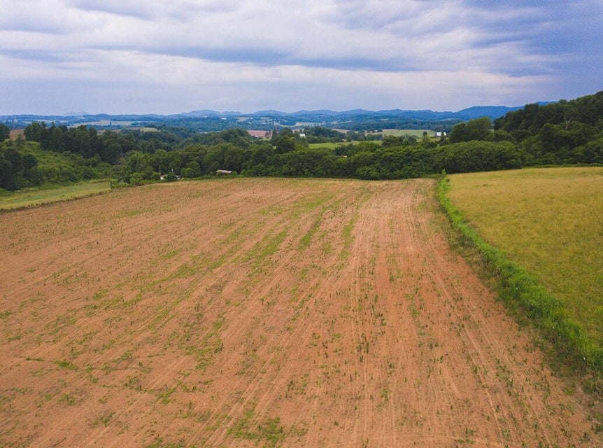 Photo #3: 530 Acres Buffalo Springs Road