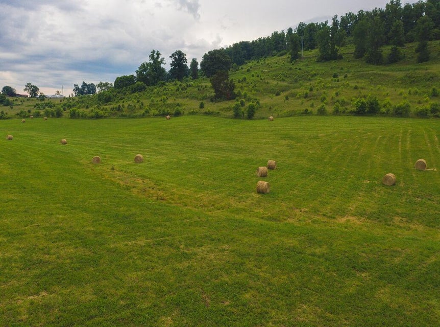 Photo #70: 530 Acres Buffalo Springs Road