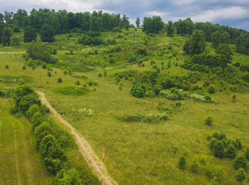 Photo #74: 530 Acres Buffalo Springs Road