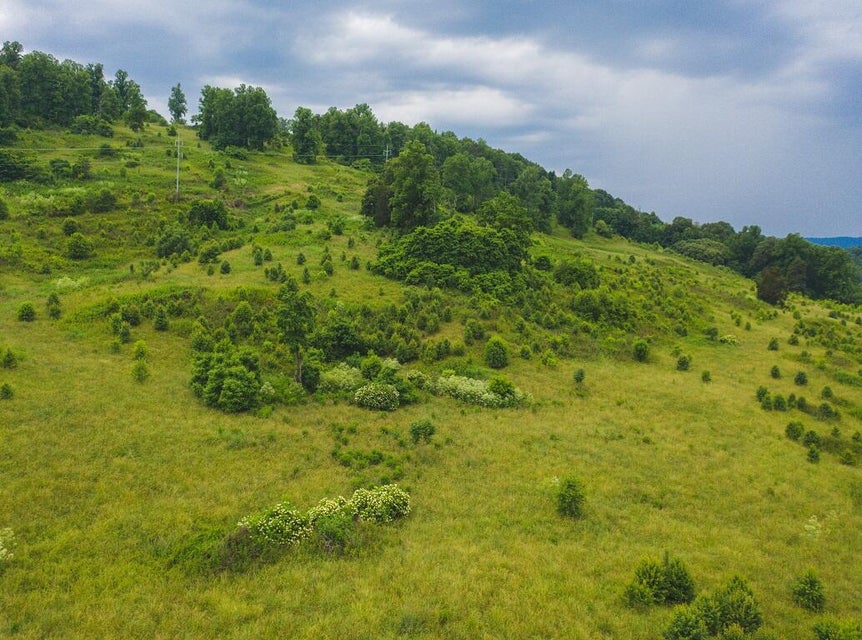 Photo #75: 530 Acres Buffalo Springs Road