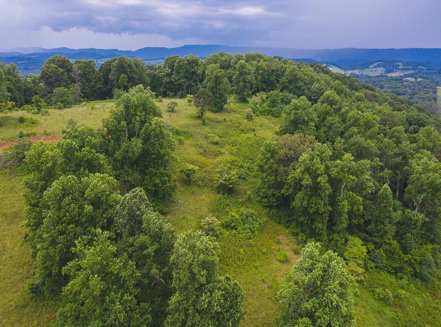 Photo #78: 530 Acres Buffalo Springs Road