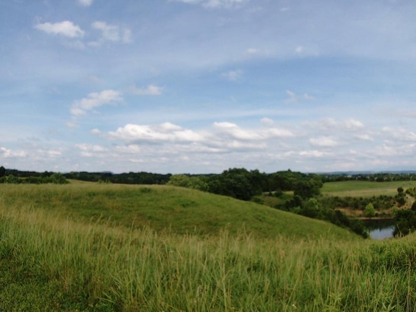 Photo #2: 1970 Mountain Valley Road